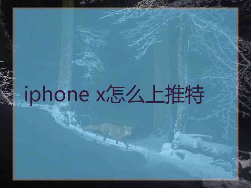 iphone x怎么上推特