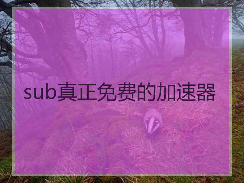 sub真正免费的加速器