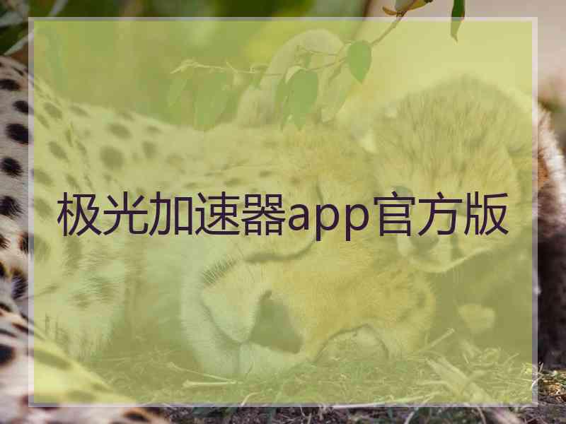 极光加速器app官方版