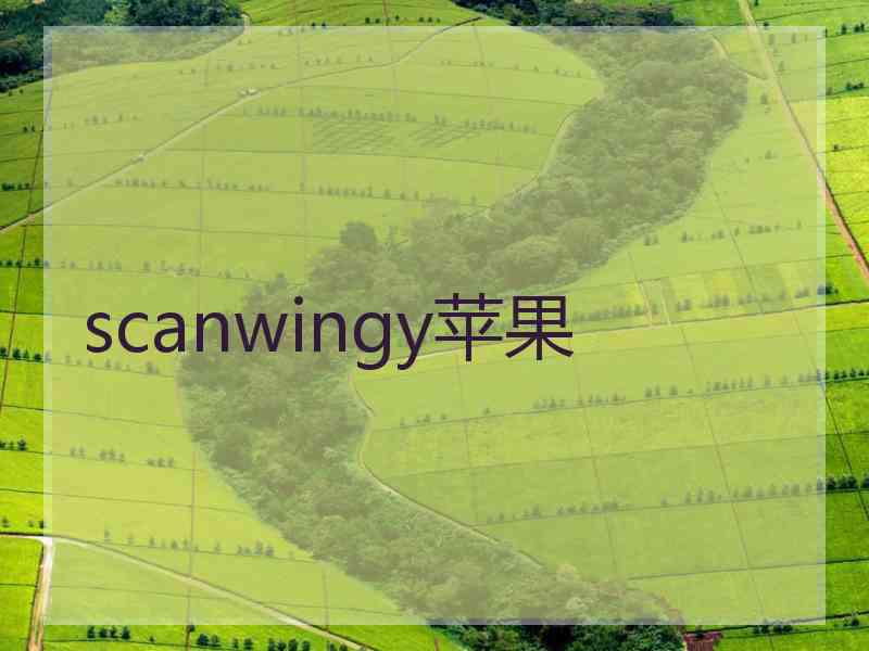 scanwingy苹果