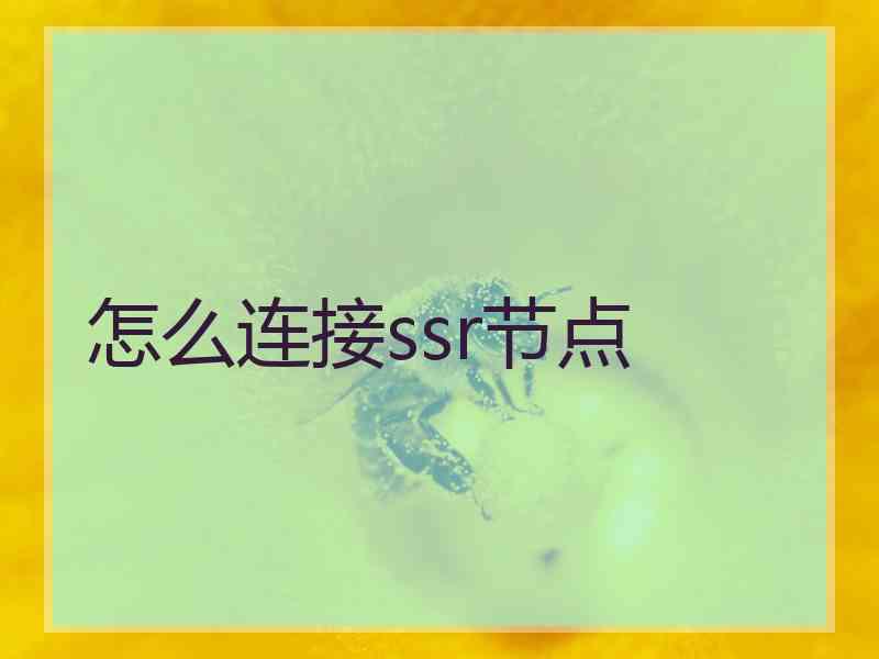 怎么连接ssr节点