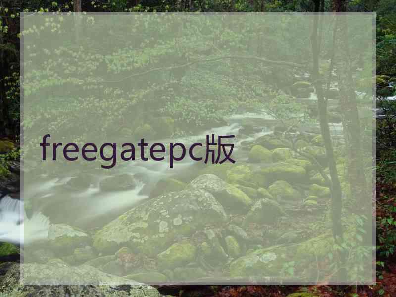 freegatepc版