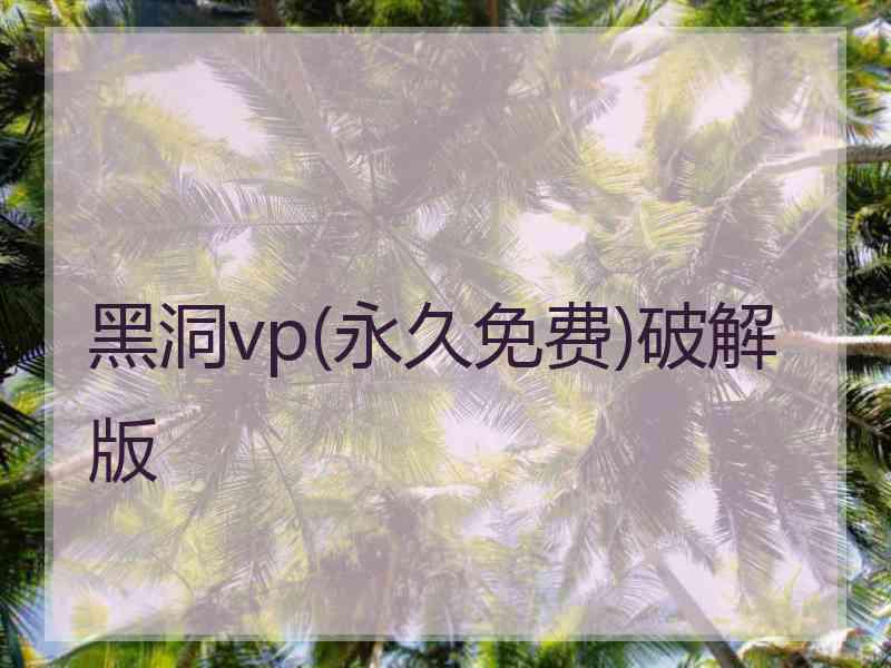 黑洞vp(永久免费)破解版