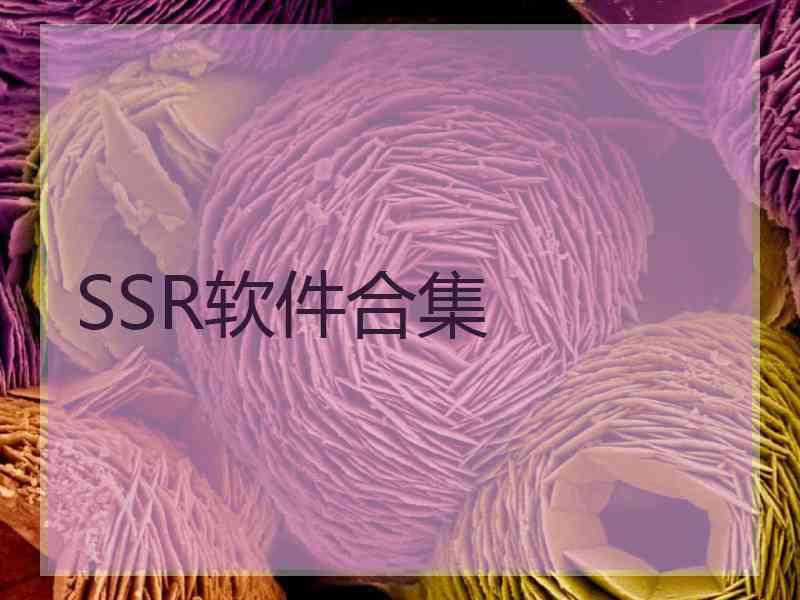 SSR软件合集