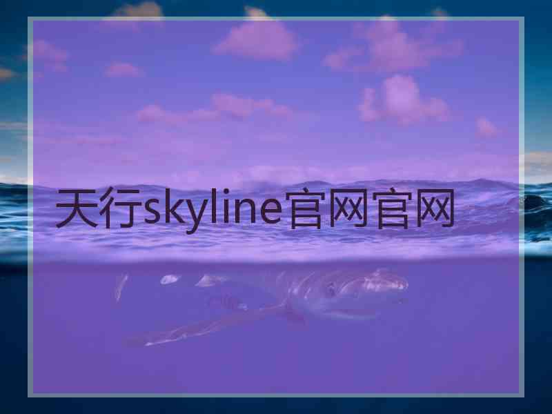 天行skyline官网官网