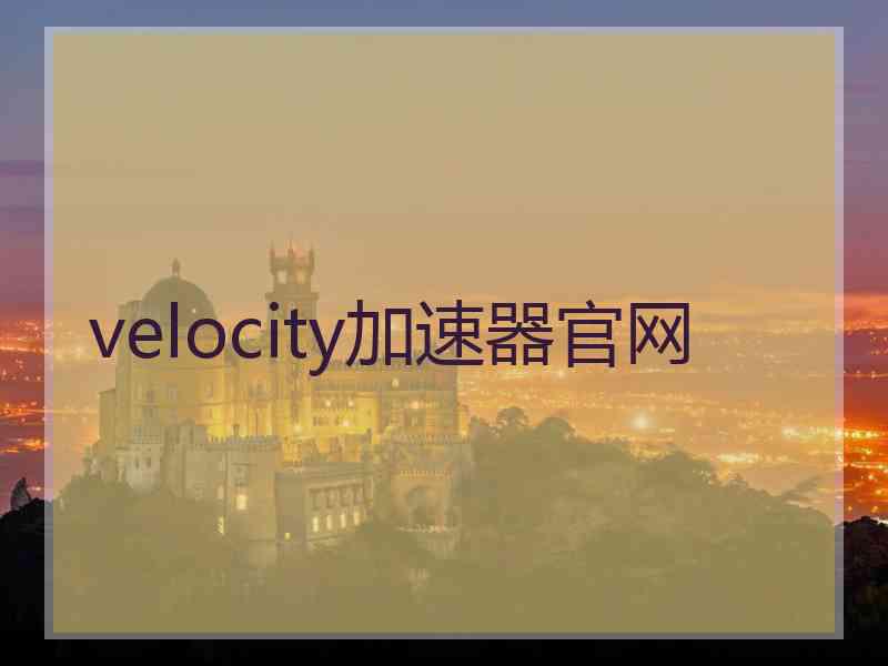 velocity加速器官网