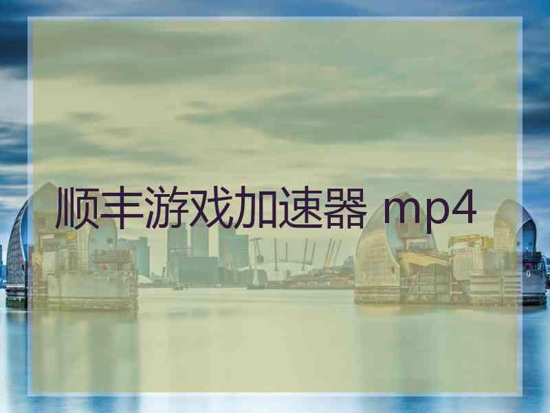 顺丰游戏加速器 mp4