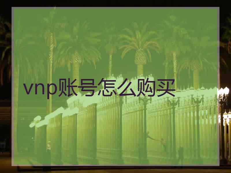 vnp账号怎么购买