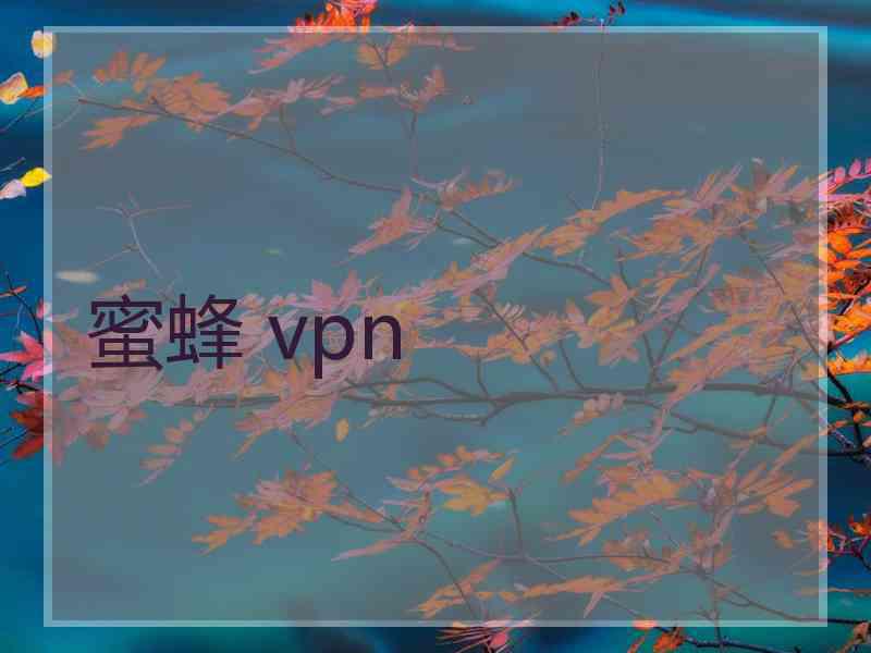 蜜蜂 vpn