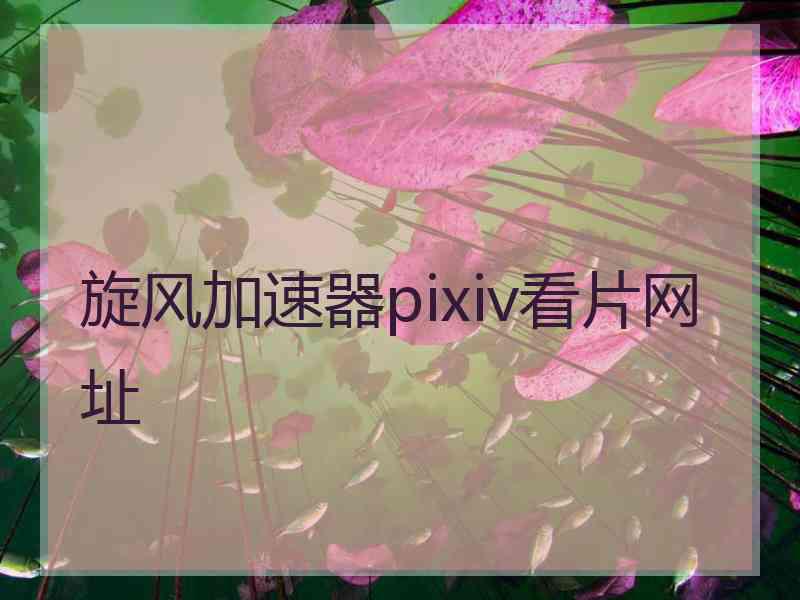 旋风加速器pixiv看片网址