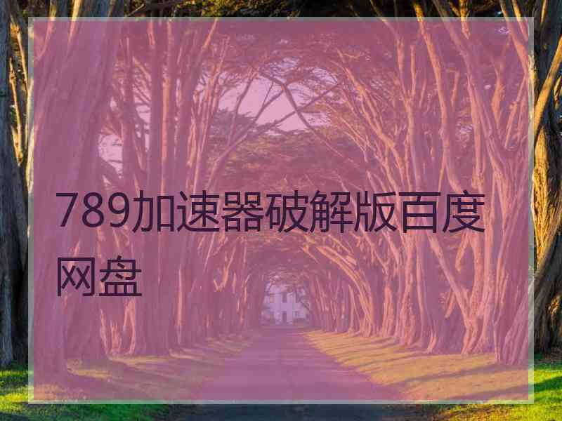 789加速器破解版百度网盘