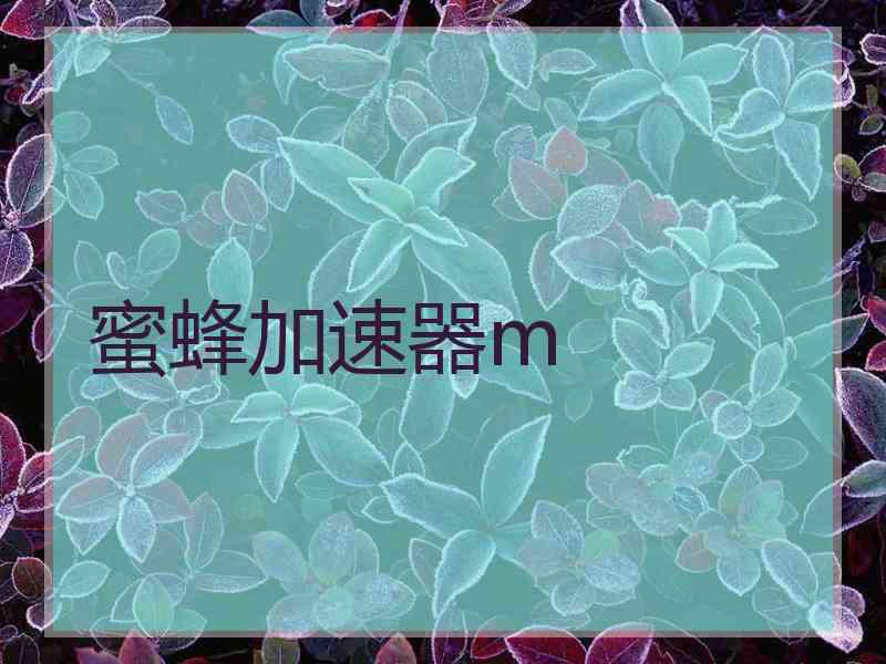 蜜蜂加速器m