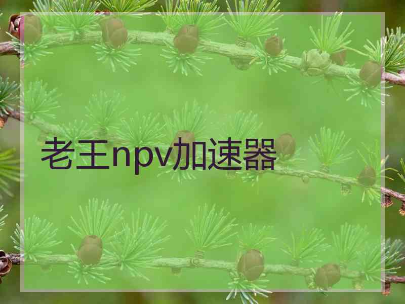 老王npv加速器