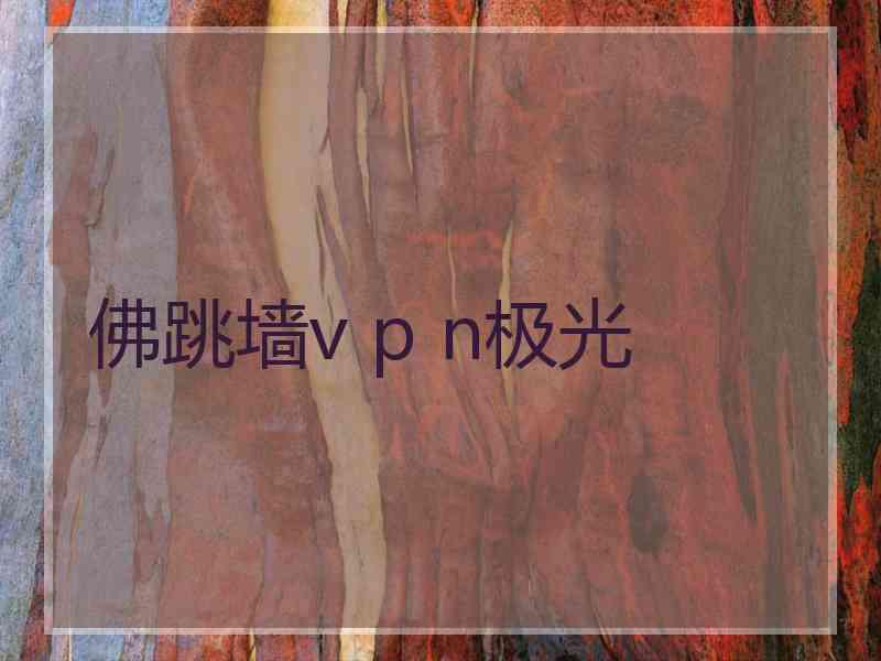 佛跳墙v p n极光