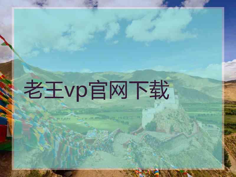 老王vp官网下载