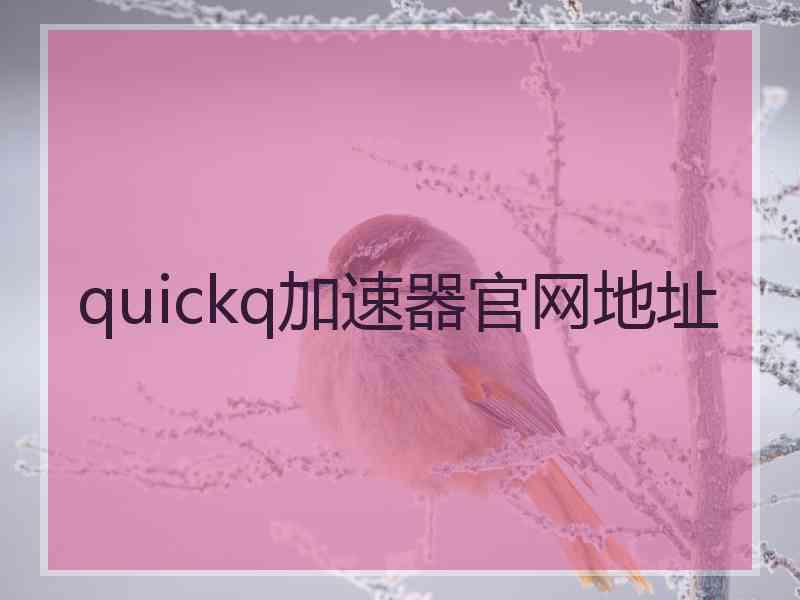 quickq加速器官网地址