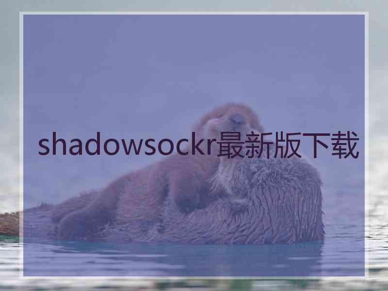 shadowsockr最新版下载