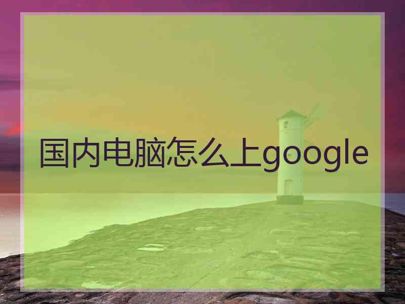 国内电脑怎么上google