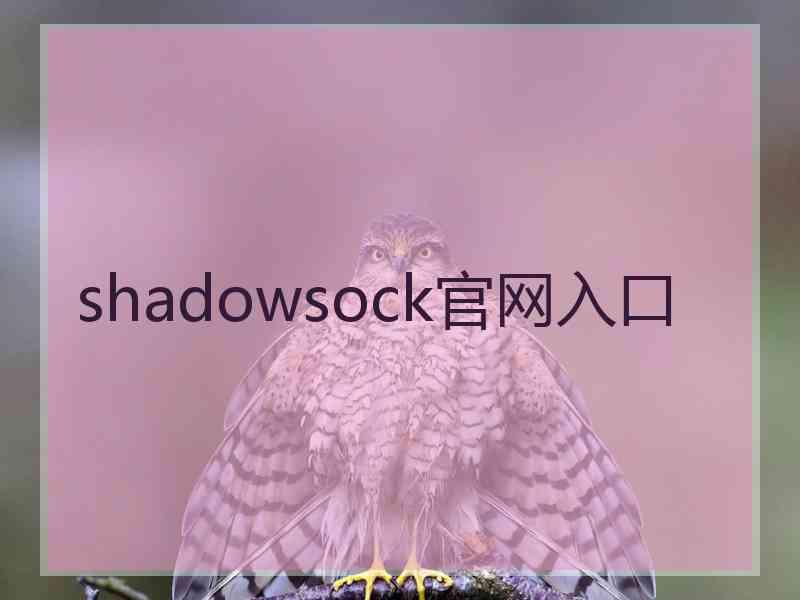 shadowsock官网入口