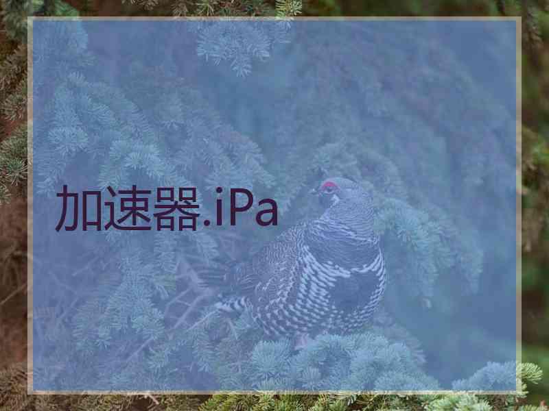 加速器.iPa