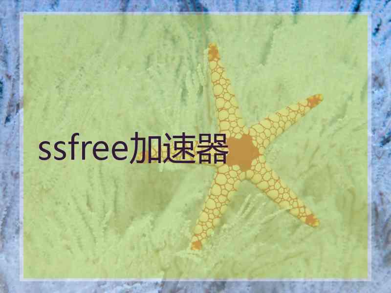 ssfree加速器