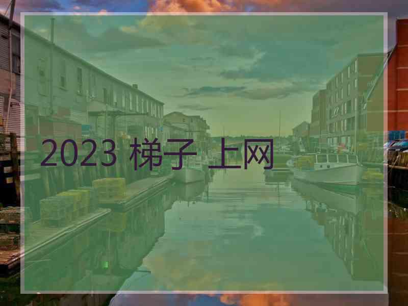 2023 梯子 上网