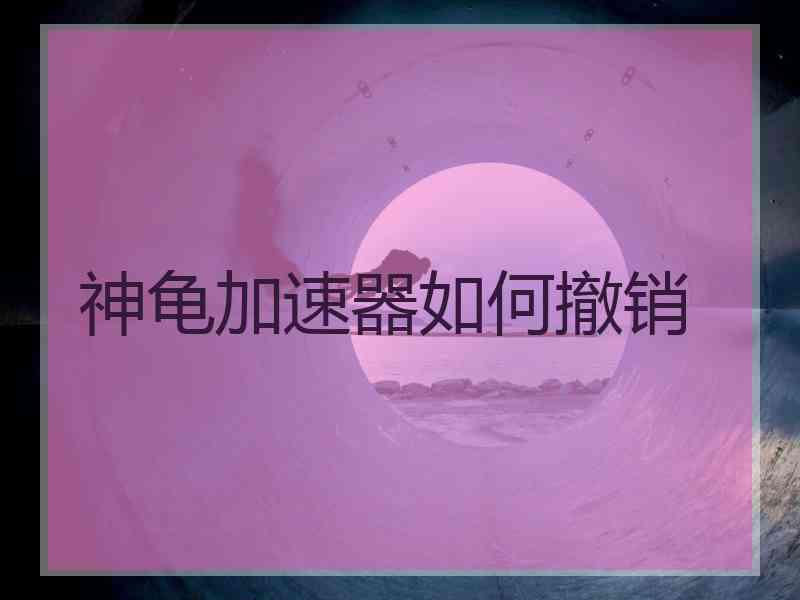 神龟加速器如何撤销