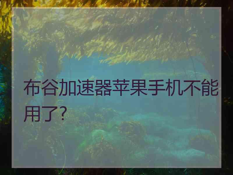 布谷加速器苹果手机不能用了?