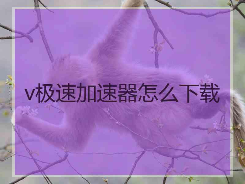 v极速加速器怎么下载