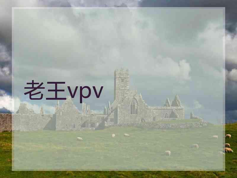 老王vpv