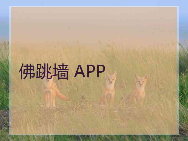 佛跳墙 APP