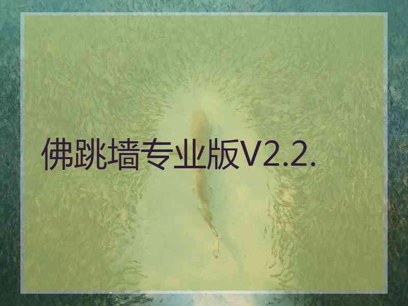 佛跳墙专业版V2.2.