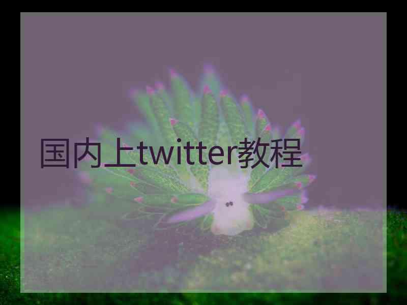 国内上twitter教程