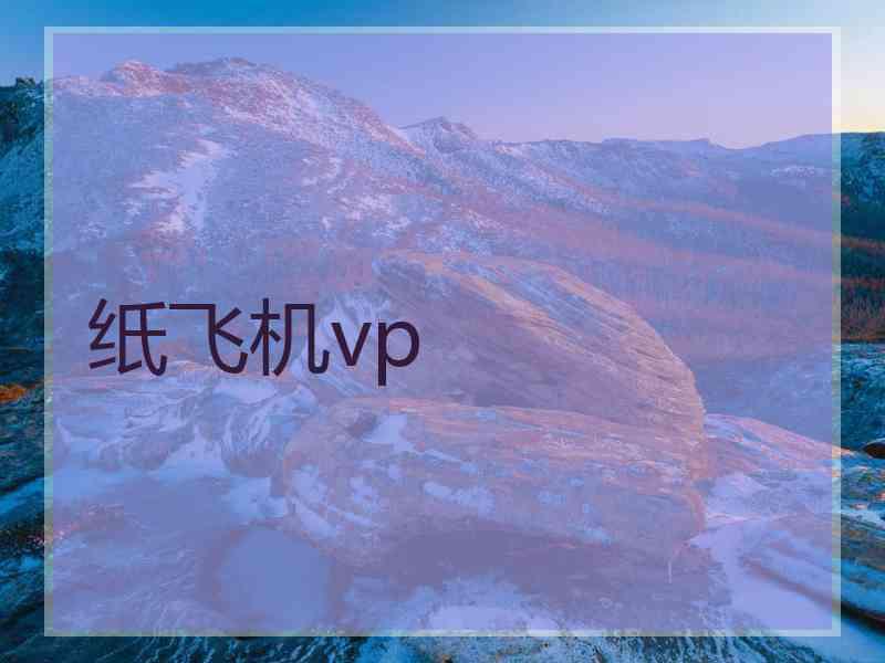 纸飞机vp