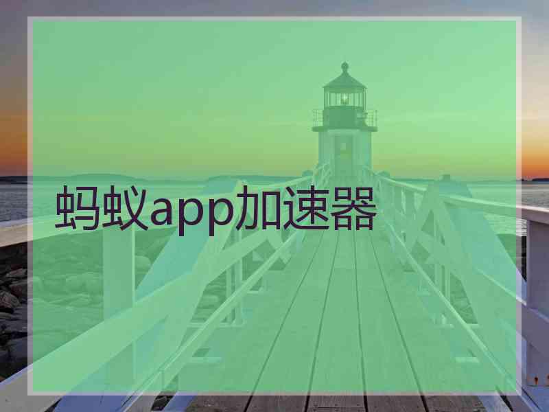 蚂蚁app加速器