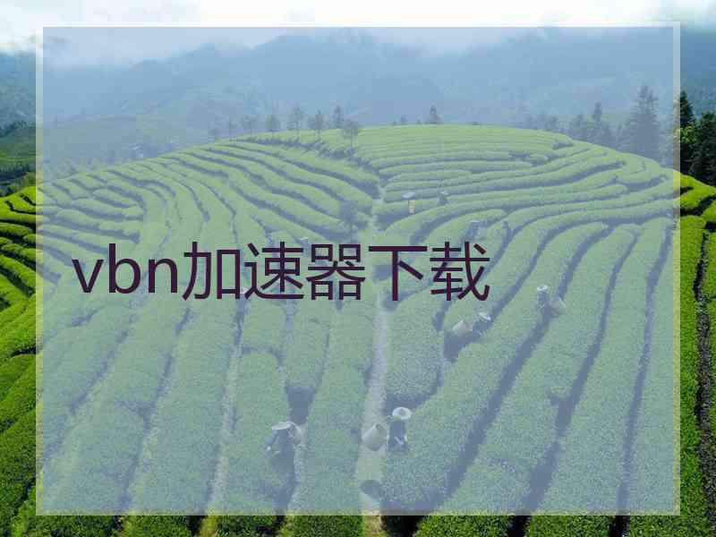 vbn加速器下载