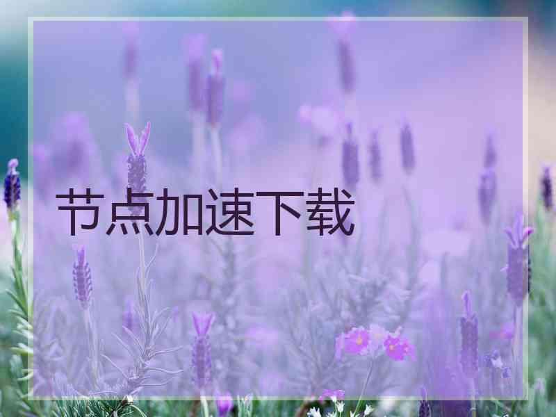 节点加速下载