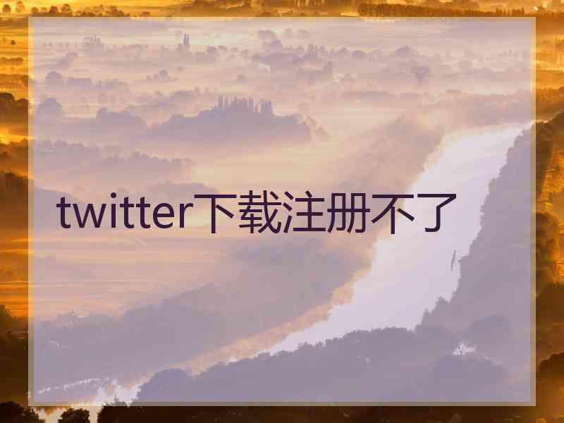 twitter下载注册不了