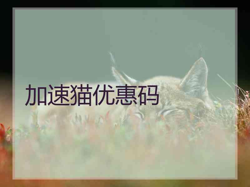 加速猫优惠码