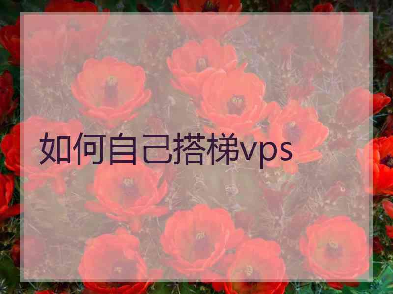 如何自己搭梯vps