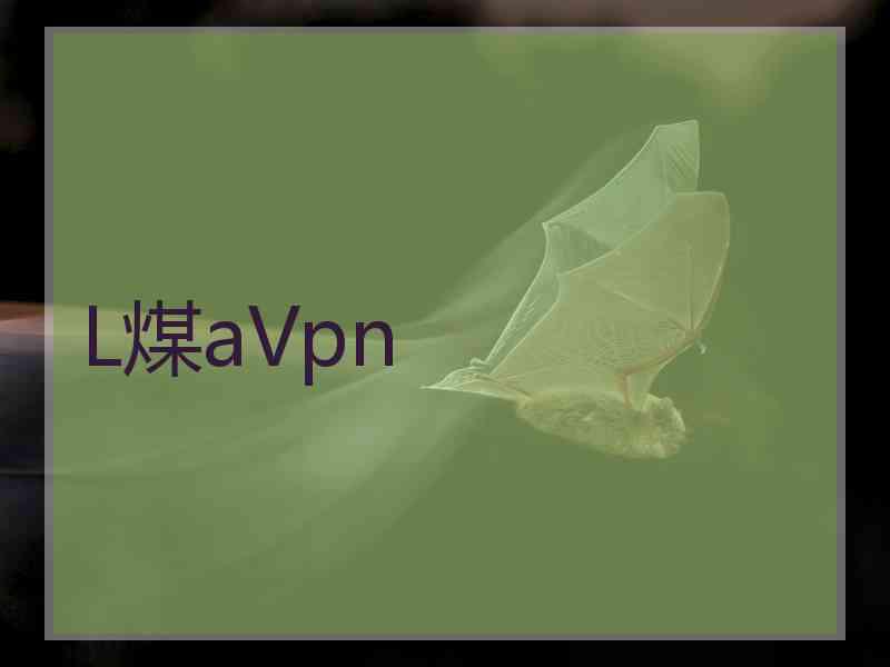 L煤aVpn