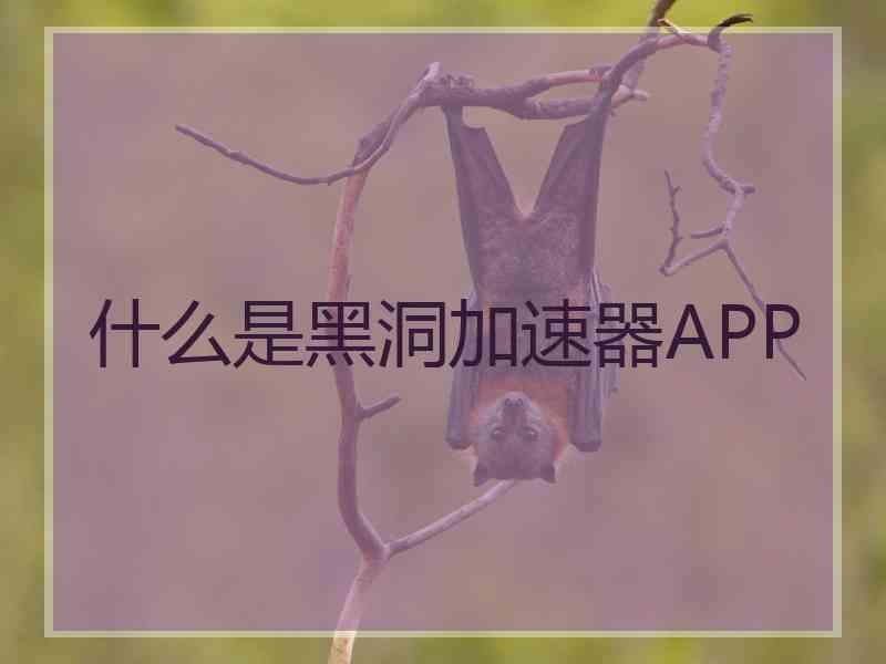 什么是黑洞加速器APP