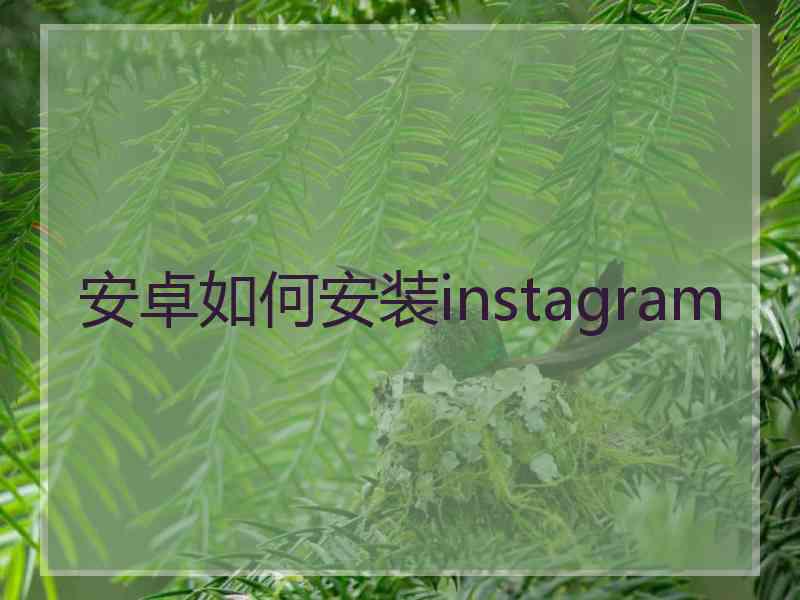 安卓如何安装instagram