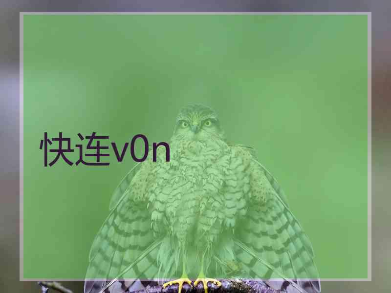 快连v0n