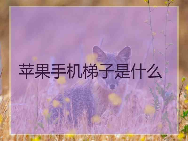 苹果手机梯子是什么