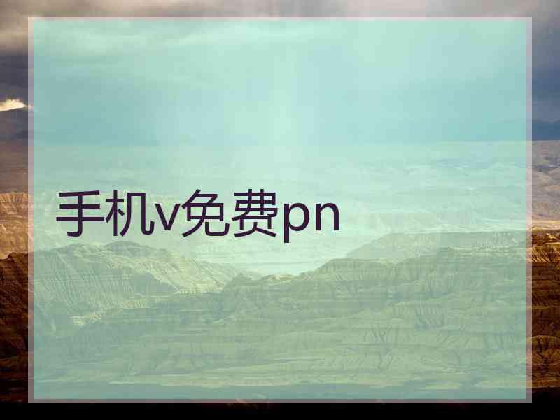 手机v免费pn