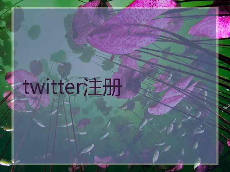 twitter注册