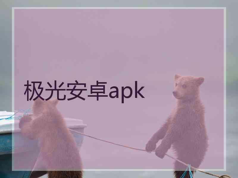 极光安卓apk