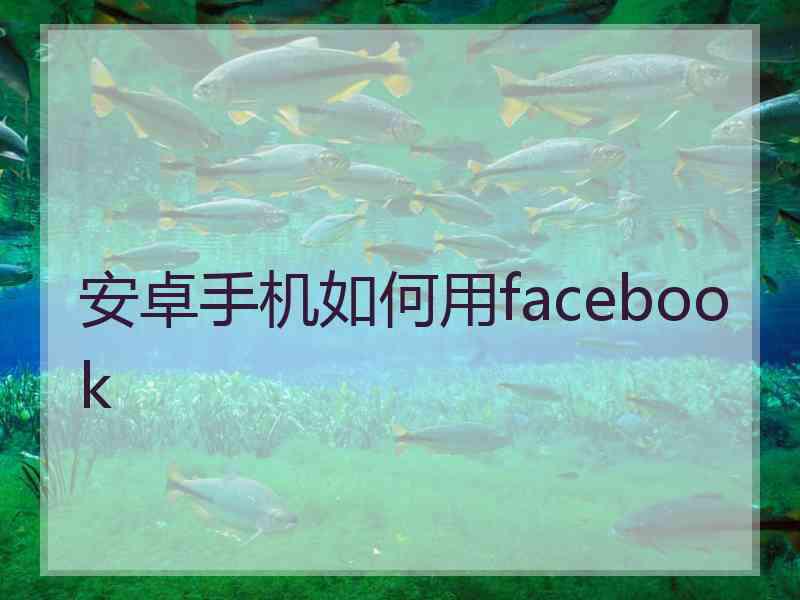 安卓手机如何用facebook