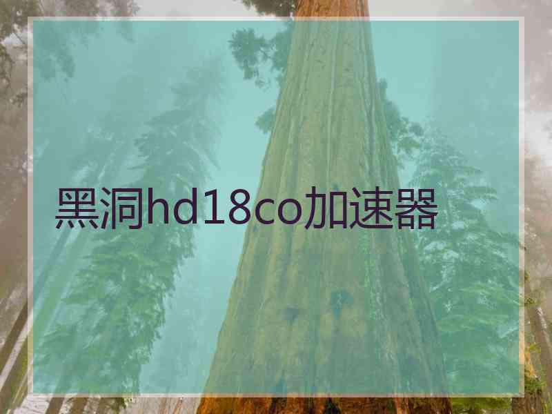 黑洞hd18co加速器